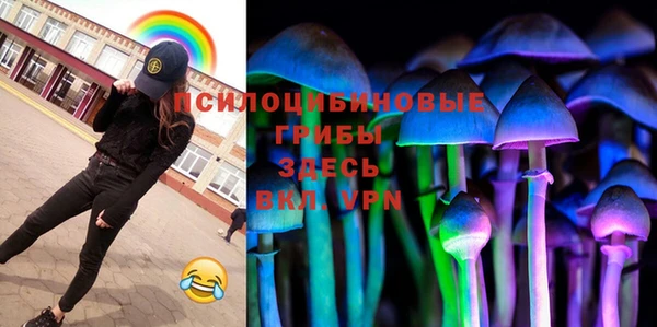 бошки Вяземский